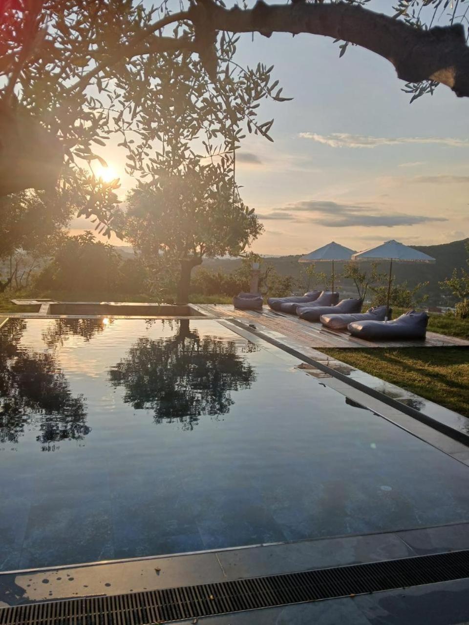 Villa Kamila تيرانا المظهر الخارجي الصورة